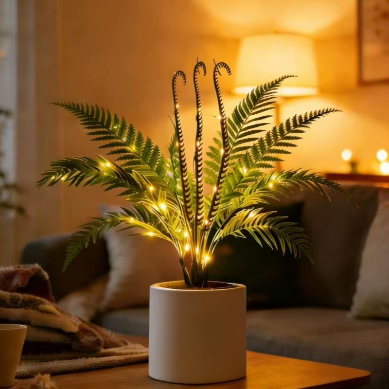 Fernleaf Paradise Tree