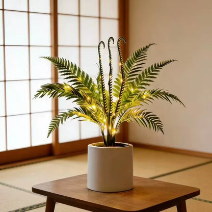 Fernleaf Paradise Tree