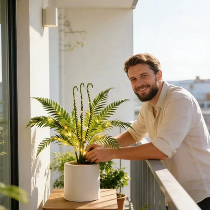 Fernleaf Paradise Tree