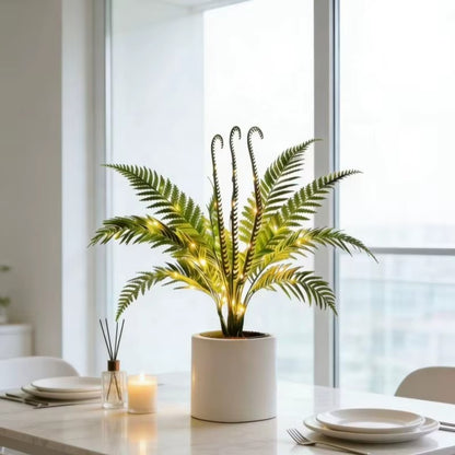 Fernleaf Paradise Tree