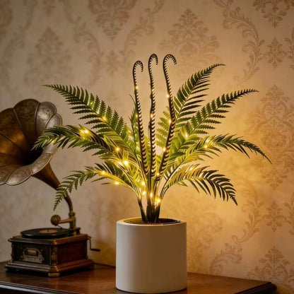 Fernleaf Paradise Tree